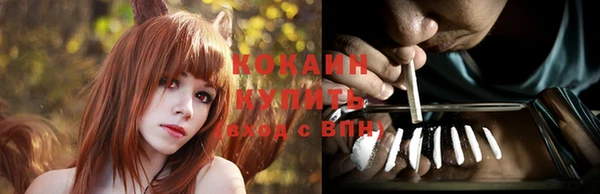 гидра Мегион