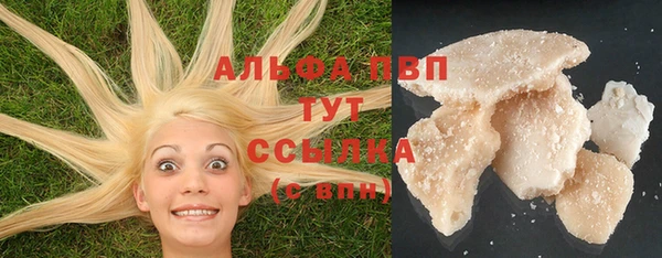 гидра Мегион