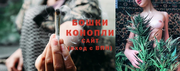 мдпв Медногорск