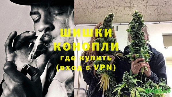 мдпв Медногорск